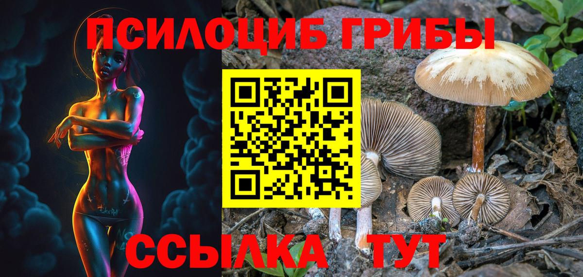Псилоцибиновые грибы Cubensis Щёлково