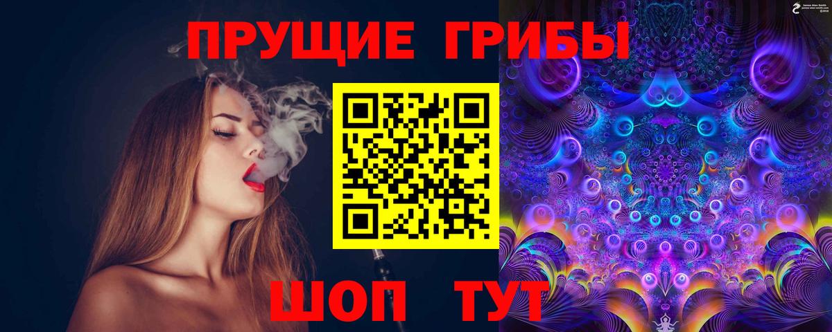 Псилоцибиновые грибы GOLDEN TEACHER  Вход с VPN  Щёлково 